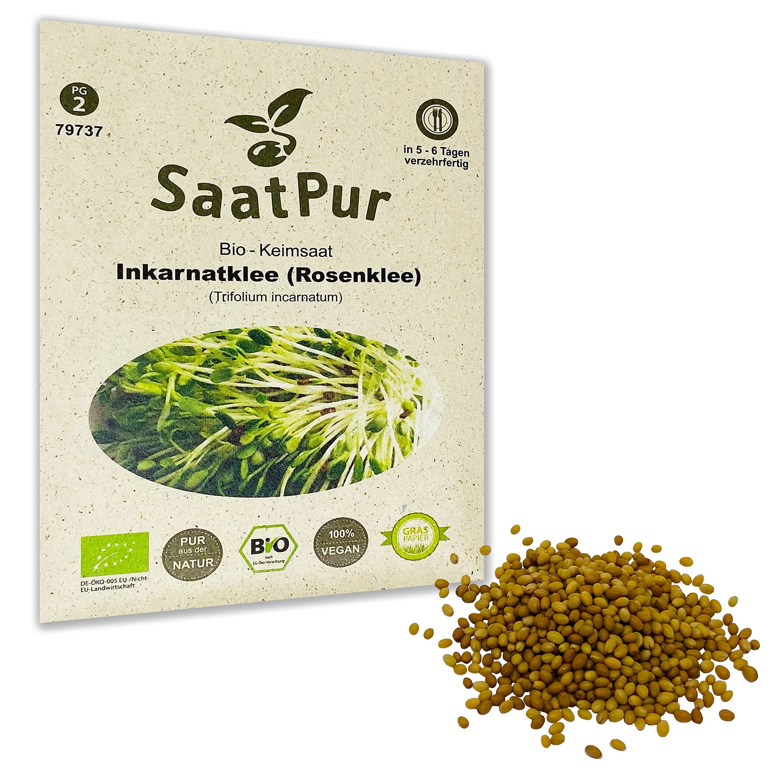SaatPur 4061369119013 Incarnate Clover, Green, Unter 100 g