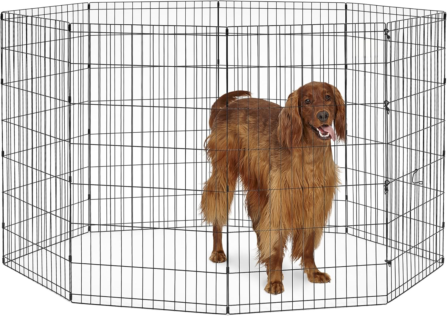 new world pet products exercise pen