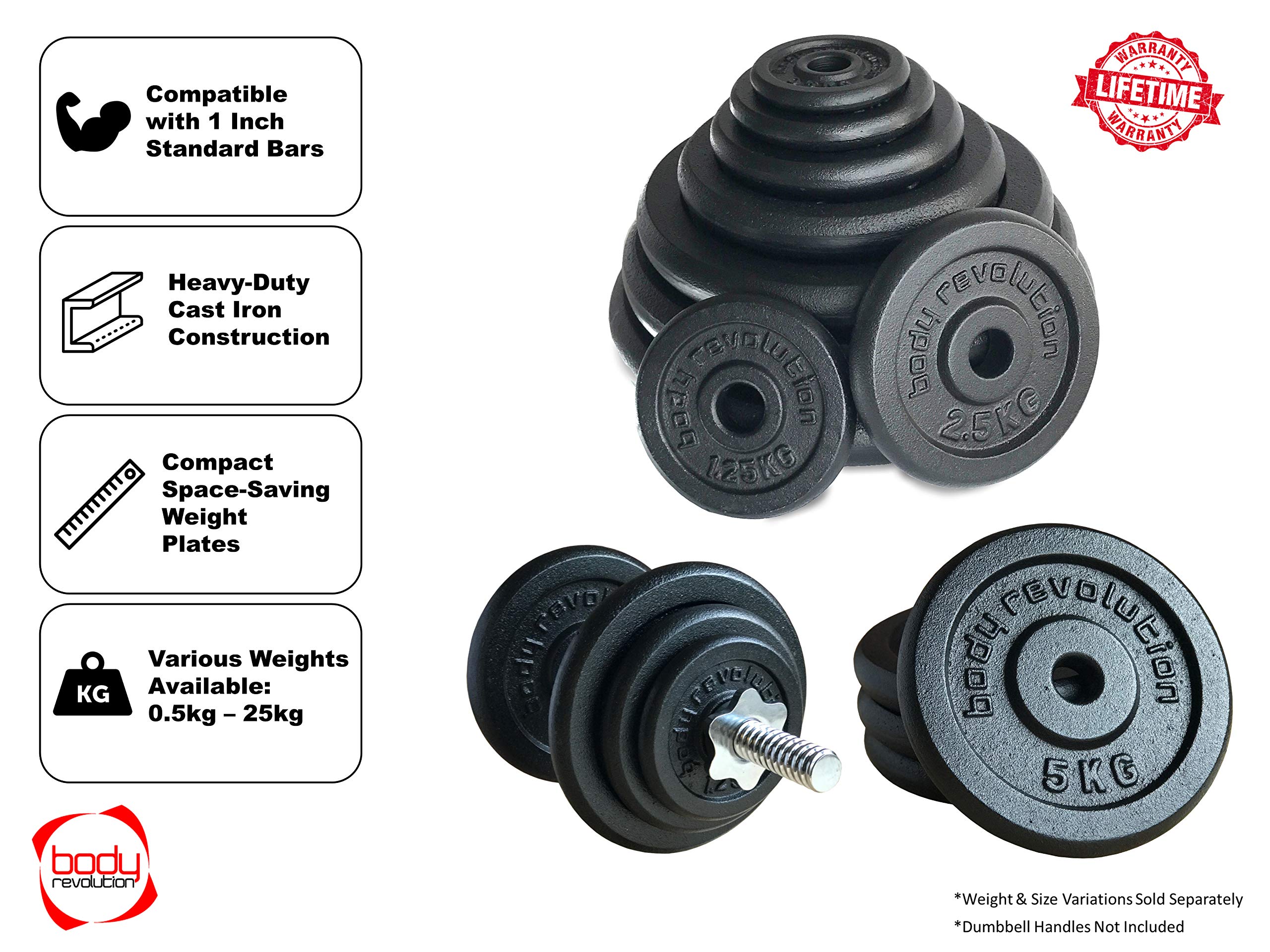 Phraks Greyskull Workout Body Revolution Cast Iron Weight Plates