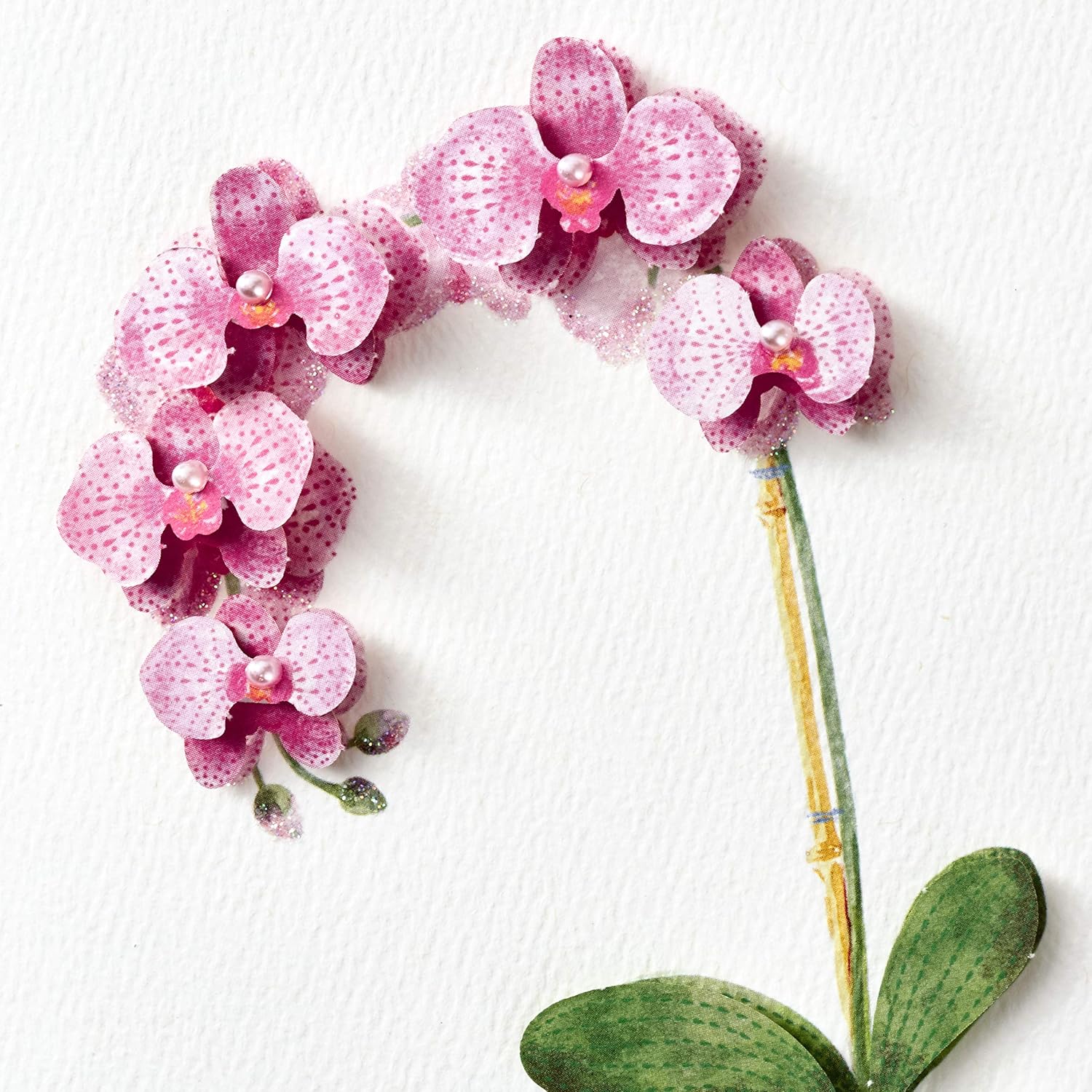 Hallmark Signature Birthday Card for Her (Orchid) : Office Products