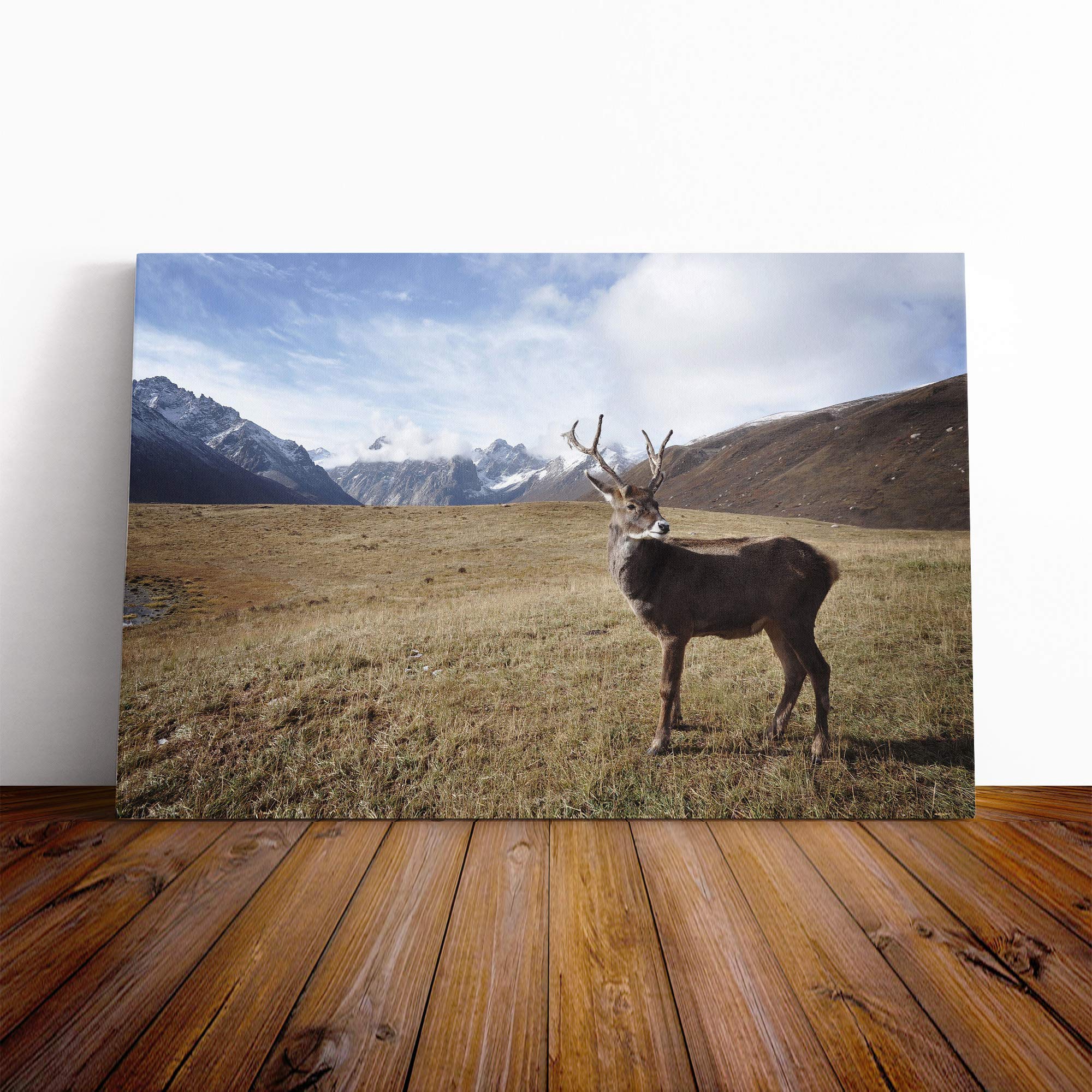 Stag Deer Mountain Landscape Canvas Print | Gallery Wrapped 30mm Frame Wall Art | 20x14 inches | Ready to Hang | Modern Animals Picture | Living Room Bedroom Lounge Office