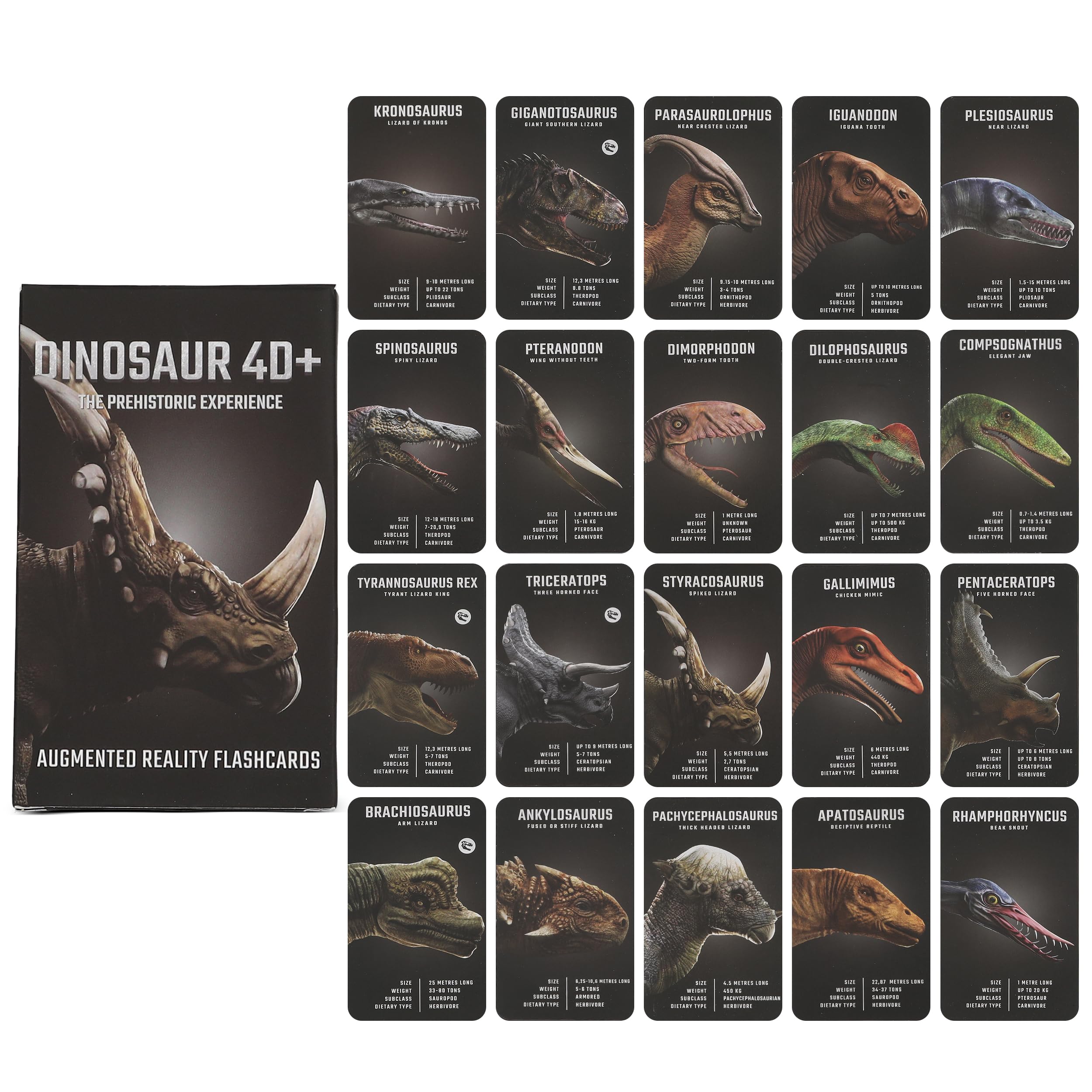 Octagon Studio Dinosaur 4D+ AR Flashcards - Interactive Augmented Reality Dinosaur Toy for Kids - Educational STEM Learning Game with App - 20 3D Cards (iOS & Android)