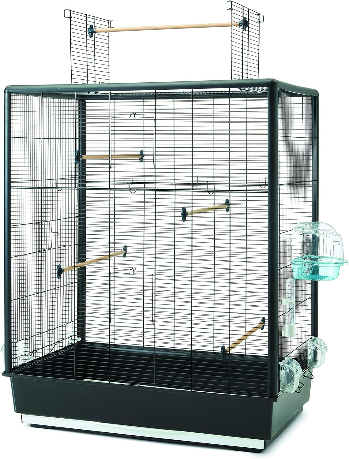 Savic Splash Bird cage Baths (Splash) : Pet Supplies