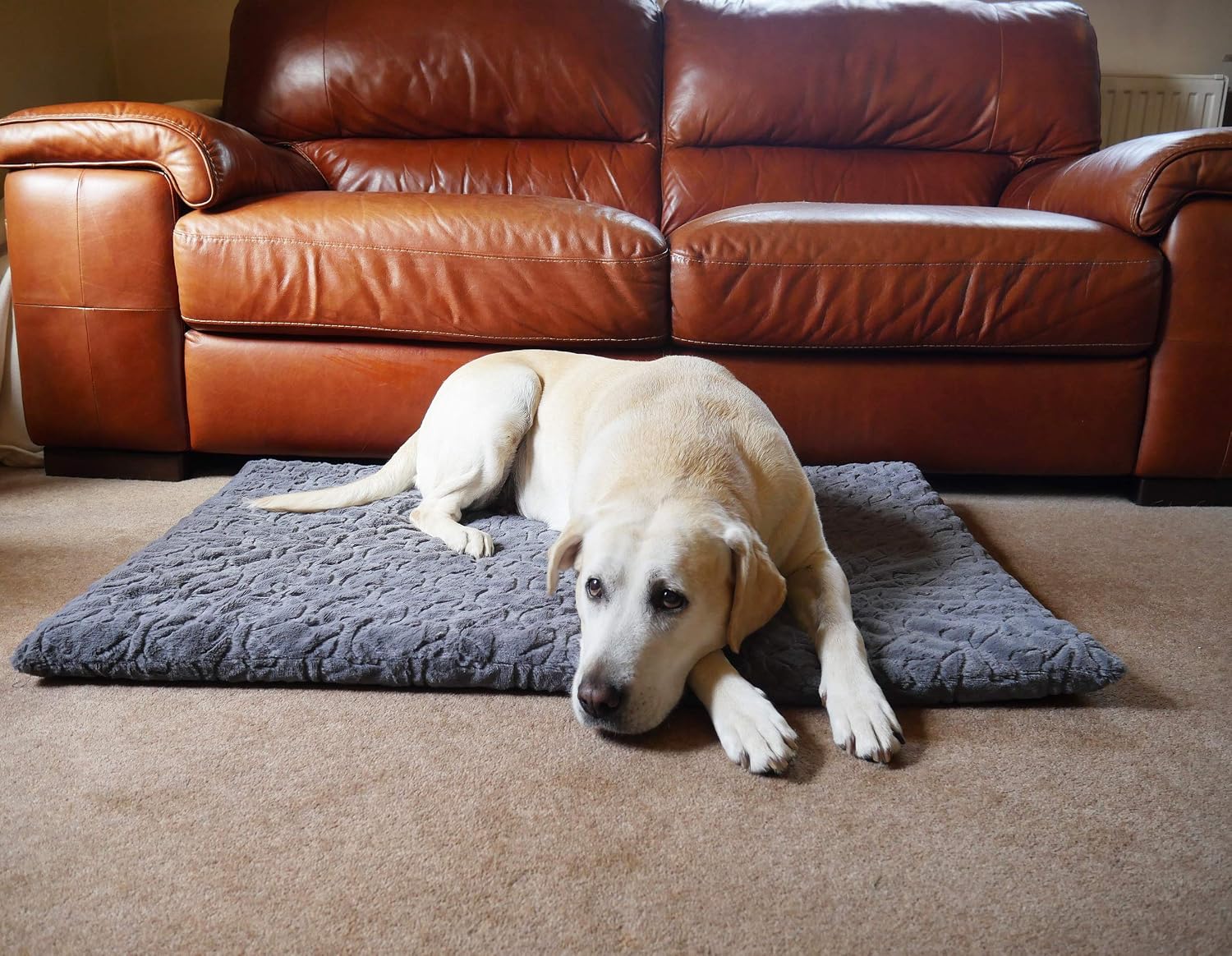 Rosewood Orthopaedic Bone Grey Plush Dog Mattress, Small, 22” x 15”, 39 x 57 x 6 cm (L x W x H) - Image 5