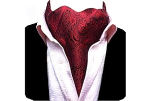 GUSLESON Men's Cravat Self Tie Paisley Jacquard Woven Floral Luxury Ascot