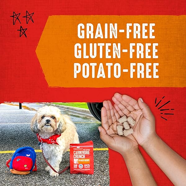 STELLA & CHEWY’S FREEZE-DRIED RAW DOG TREATS – CARNIVORE CRUNCH FOR TRAINING – NATURAL LIMITED INGREDIENT, GRAIN-FREE – PERFECT FOR PICKY EATERS – GRASS-FED BEEF RECIPE – 3.25 OZ BAG