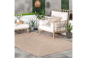 nuLOOM Wynn Braided Indoor/Outdoor Accent Rug, 2x3, Tan