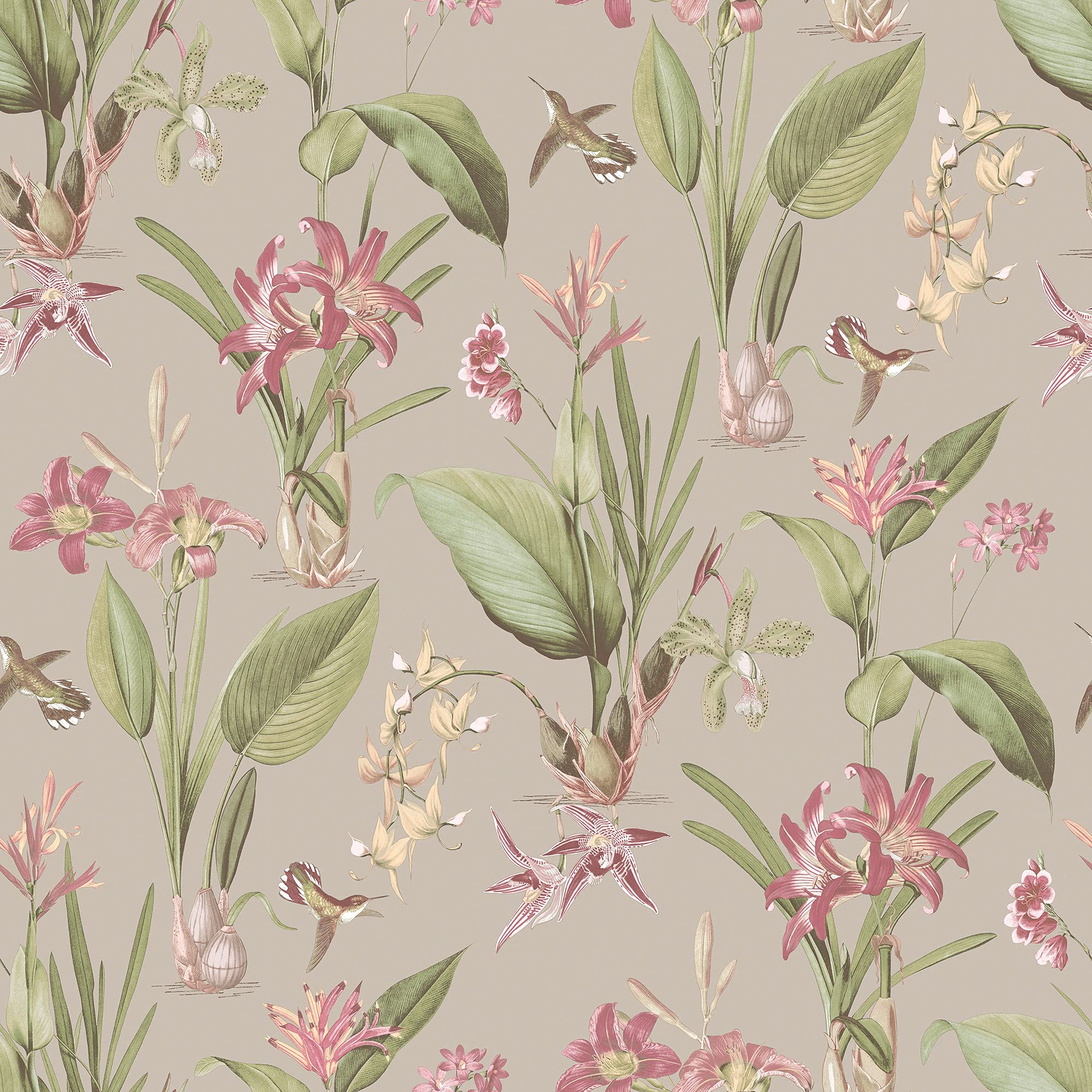 Galerie G78507 Secret Garden Cottage Botanical Wallpaper, Taupe/Bright, 10m x 53cm