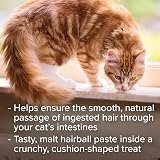 Beaphar Malt Bits Cats Treats 75 x Crunchy Malt Bits for Hairball Passage view 3