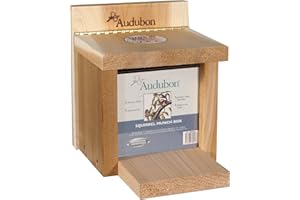 Woodlink NASQBOX Audubon Squirrel Munch Box Feeder