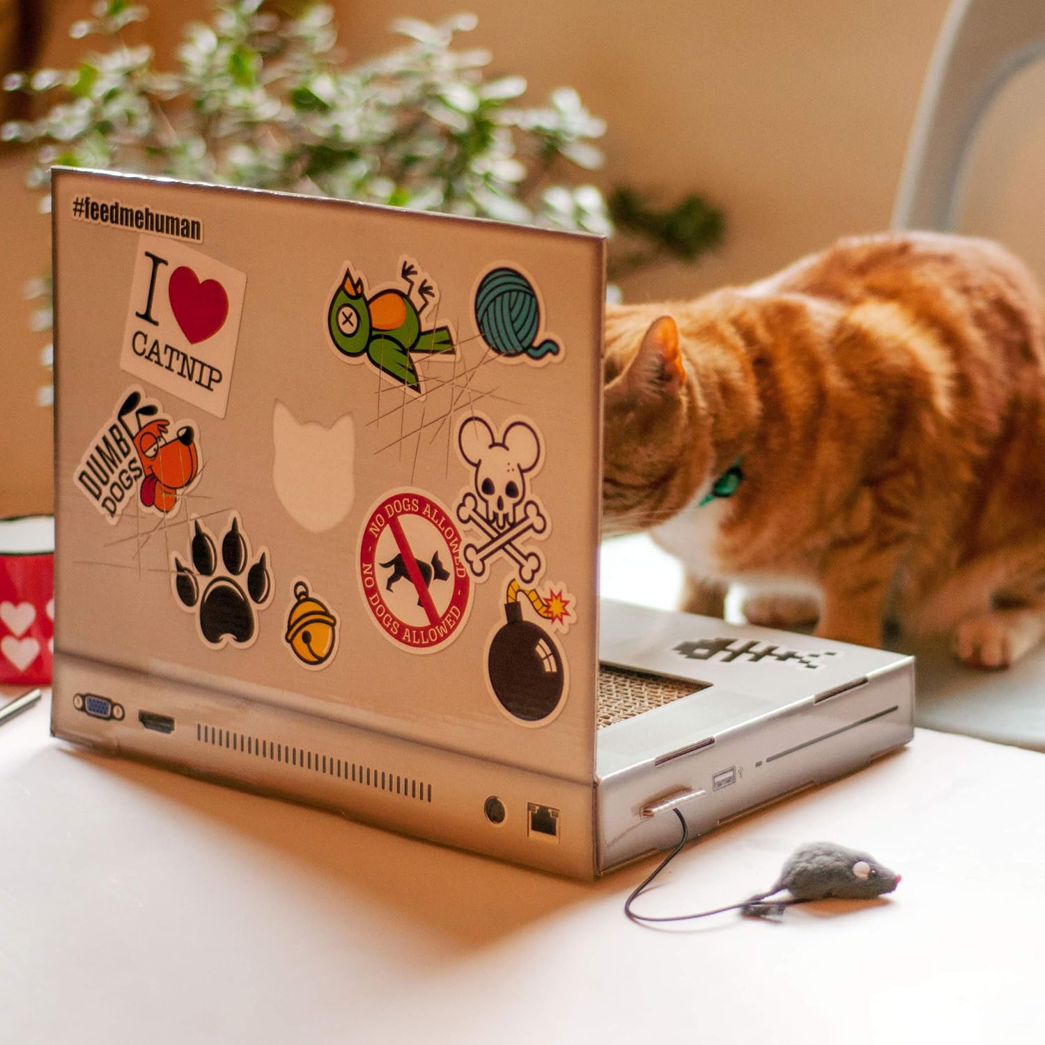 Suck UK, Laptop Scratcher - Image 4