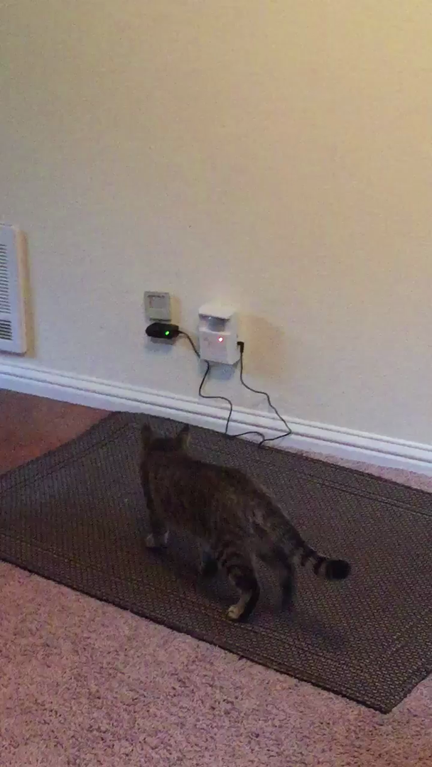 Catscram Electronic Cat Repellent With AC Adapter Pet Supplies