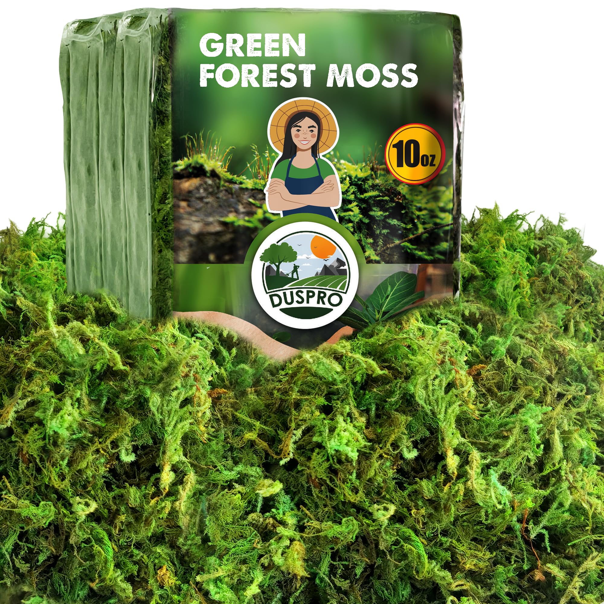 Photo 1 of [Upgraded] DUSPRO Green Moss for Crafts, Real Forest Moss Potted Plants, Decorative Mosses for Table Centerpieces Wedding Christmas Fairy Party Decor, Indoor Planters, DIY Project (10 oz)