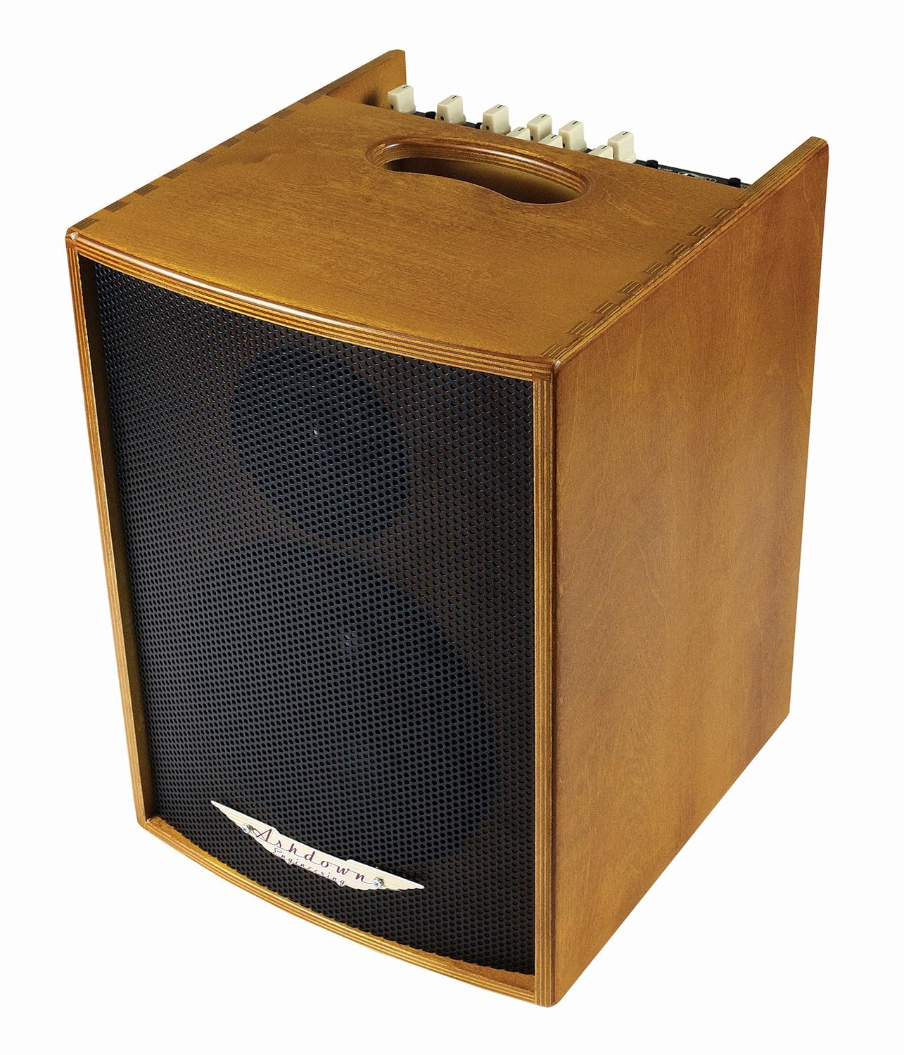 Ashdown AA100 Acoustic Guitar Amplifier Black Amazon.co.uk Musical