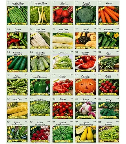 Amazon.com : Set of 6 Vegetable Seed Packs - Create a Deluxe