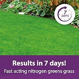 Flower Power Lawn Magic 5L - Double Action Grass Feed for Strong Roots view 4