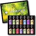 P&J Trading Fragrance Oil Favorite Set | Candle Scents for Candle Making, Freshie Scents, Soap Making Supplies, Diffuser Oil Scents