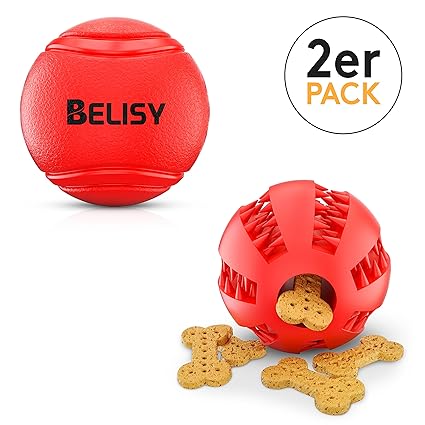 BELISY Intelligente Hundebälle im Set I Dentalball & Spielball I Rot