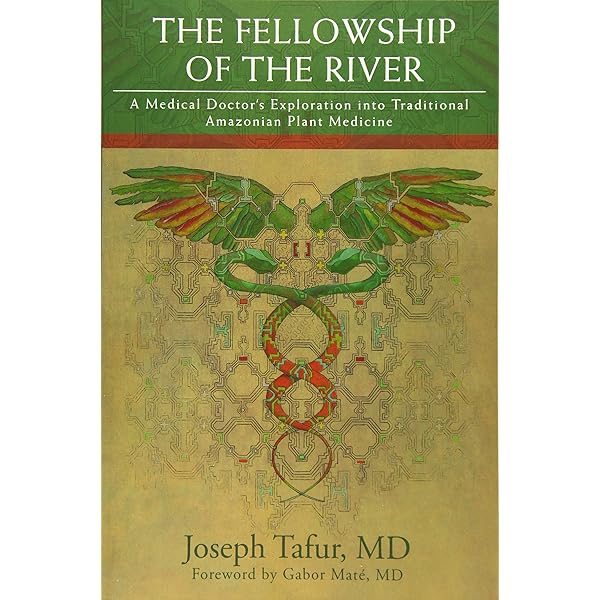 洋書 Handbook of Complementary and Alternativ Professional's Handbook of Complementary & Alternative