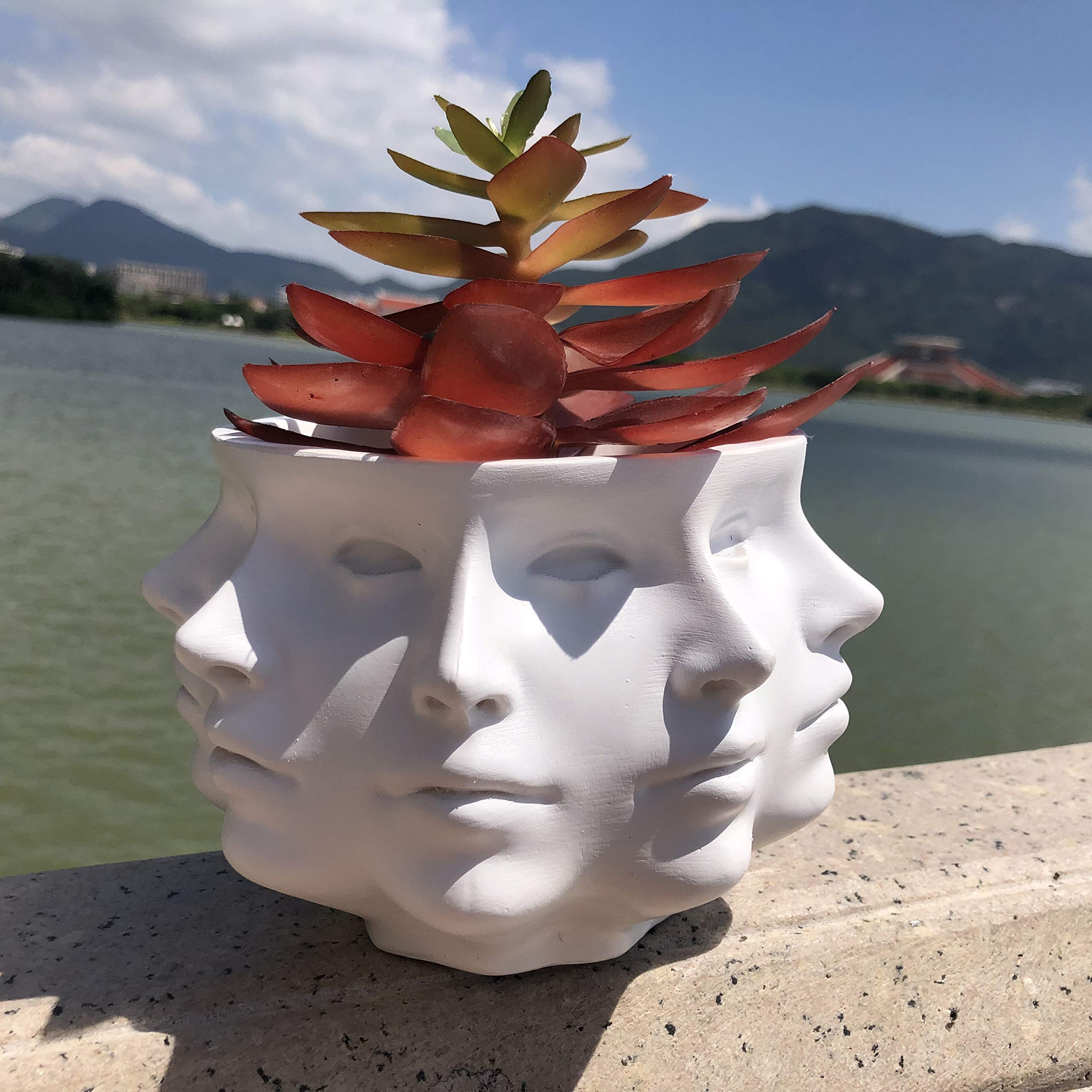 Multi-Face Succulent Planter Vase - Small Face Plant Head Home Decoration - Indoor Cactus Pot