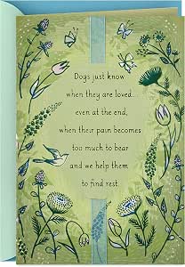 Amazon Com Hallmark Pet Sympathy Card Loss Of Dog Dogs Just Know Pet Supplies