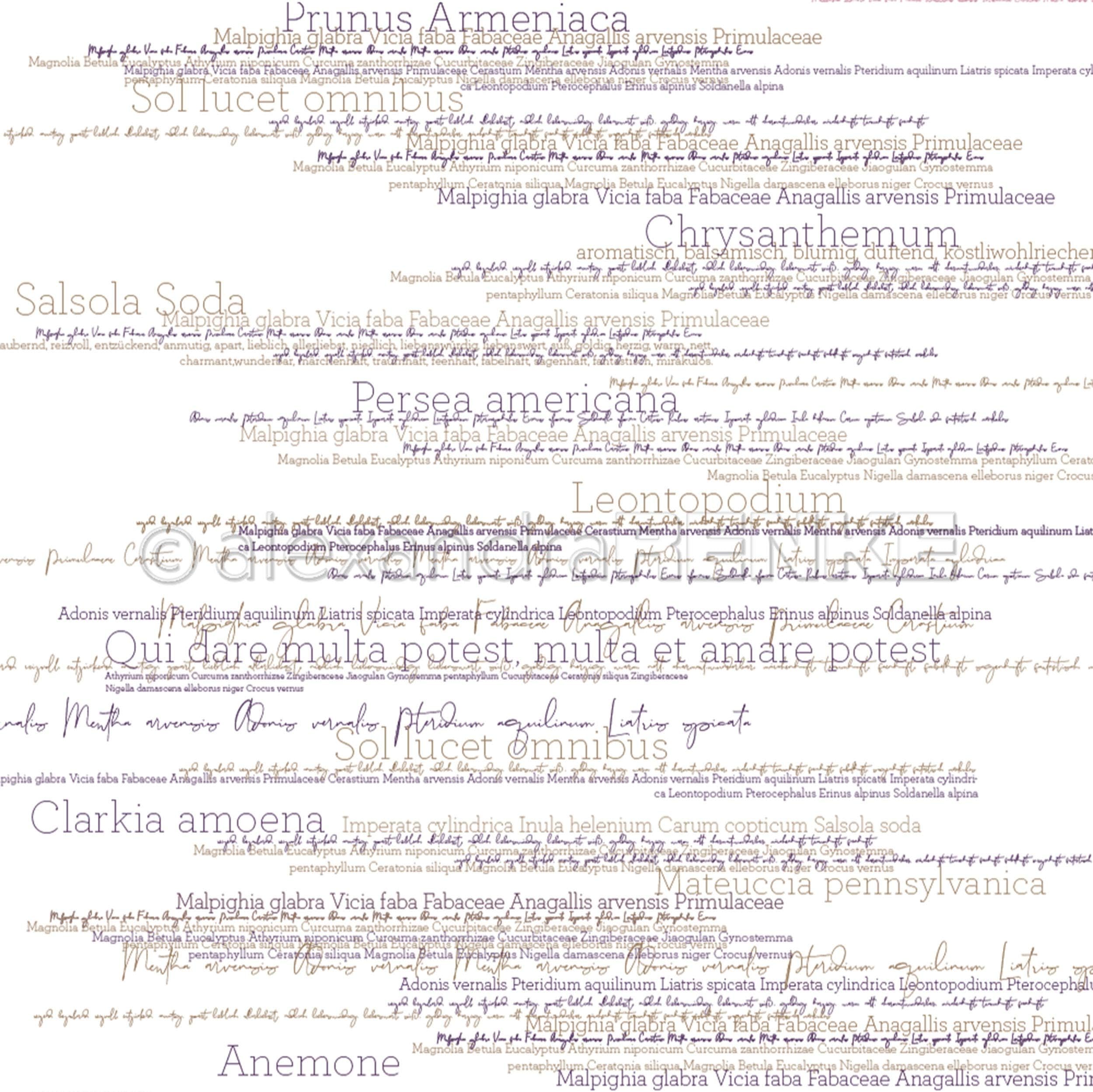 Alexandra Renke Flowers Design Paper 12"X12"-Violet Flower Names