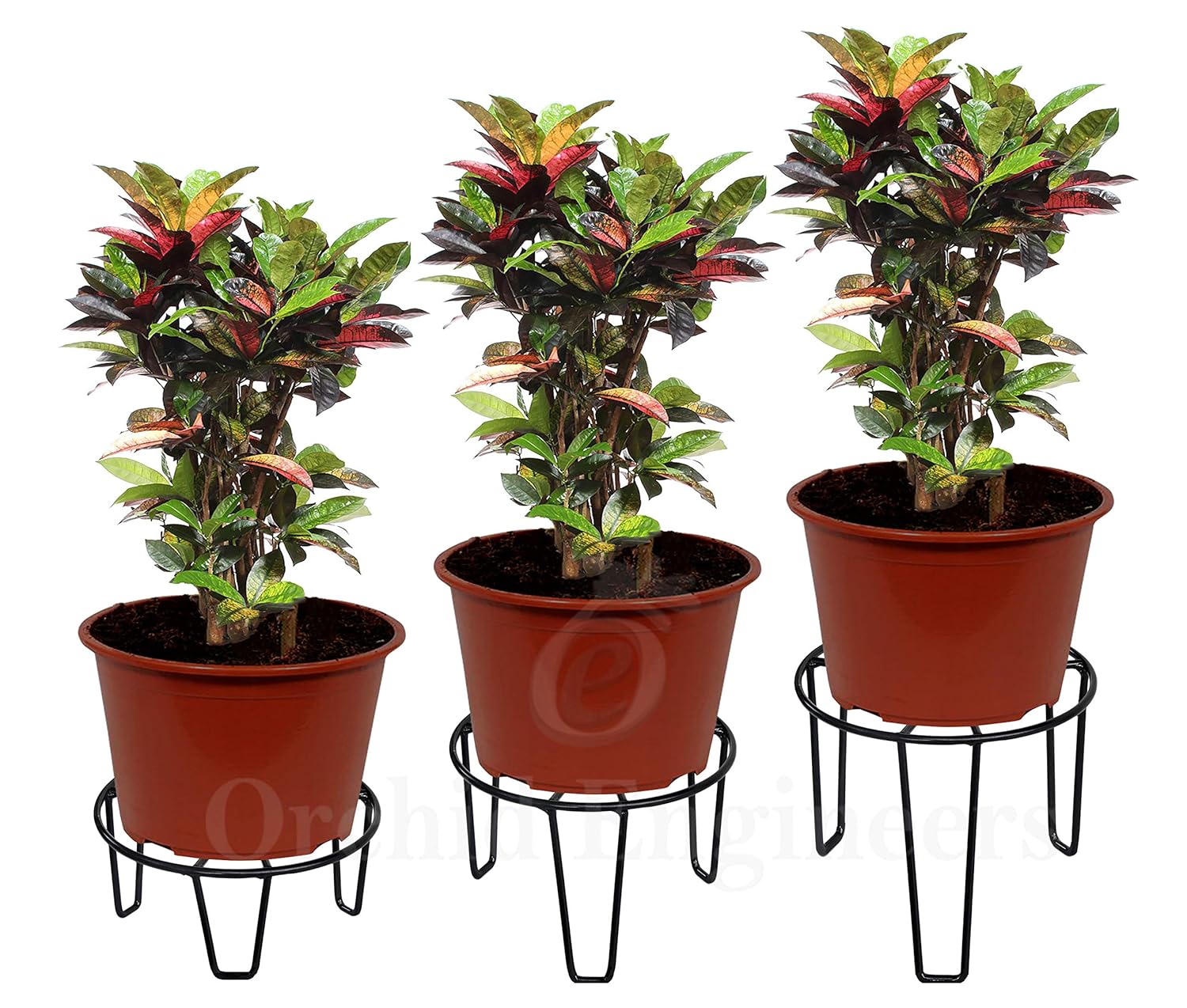 ORCHID ENGINEERS Iron Plant Stand/Pot Stand (Black, Pack of 3) Amazon