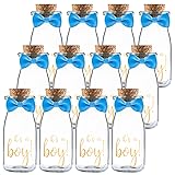 Ethisa 12 Pack Its a Boy Milk Glass Bottles