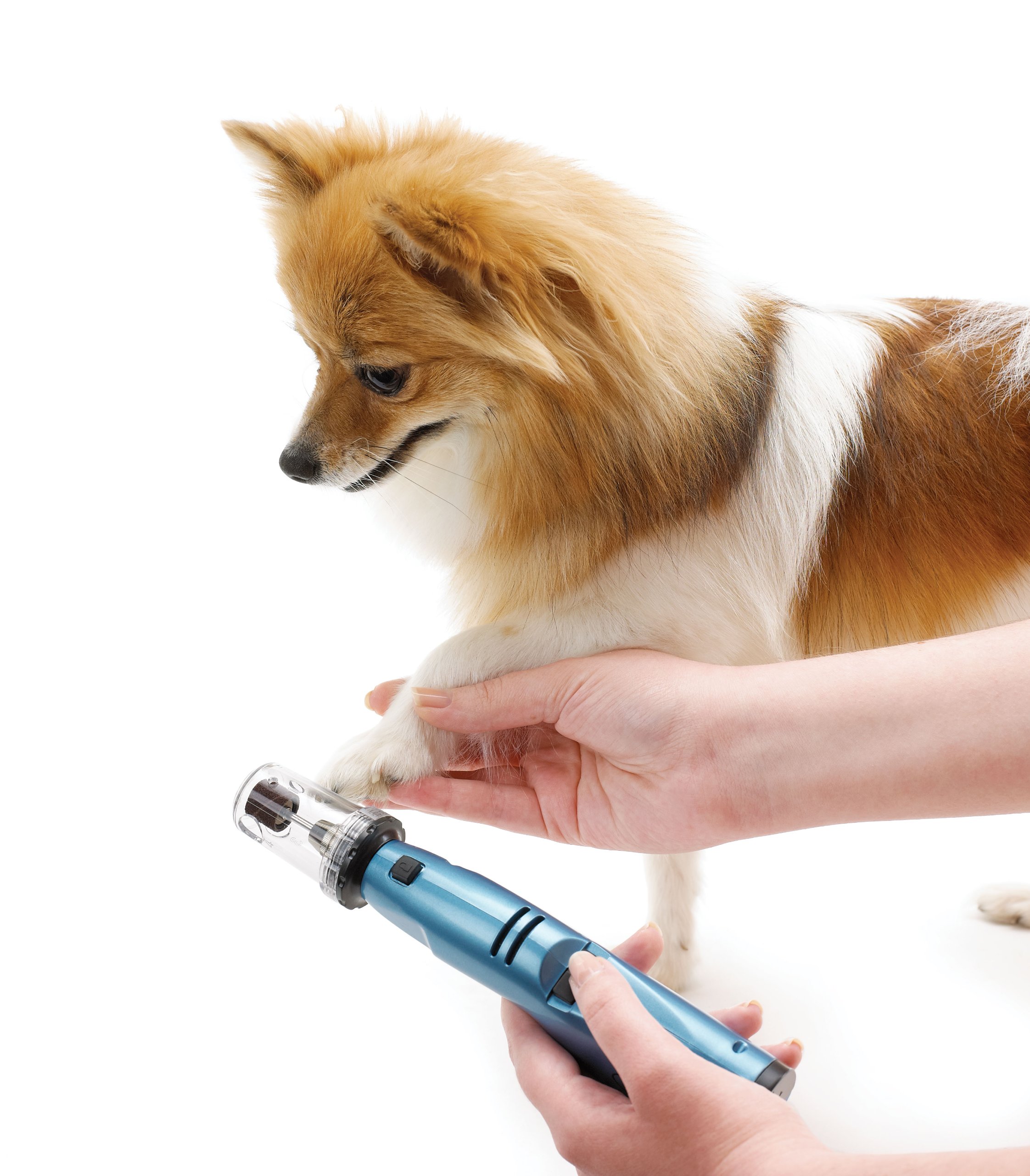 Oster Gentle Paws Less Stress Dog and Cat Nail Grinder, 2 Speed (078129