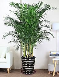 Bleuhome 4 Pack of 14 inch Plant Saucer, Heavy Duty