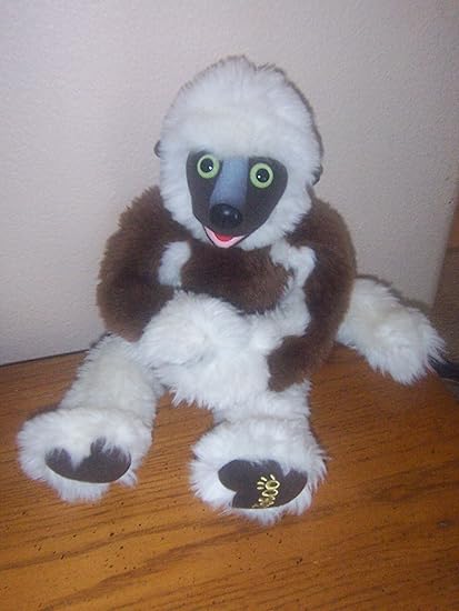 how to tell if your cat is going into labor