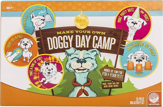doggy day camp