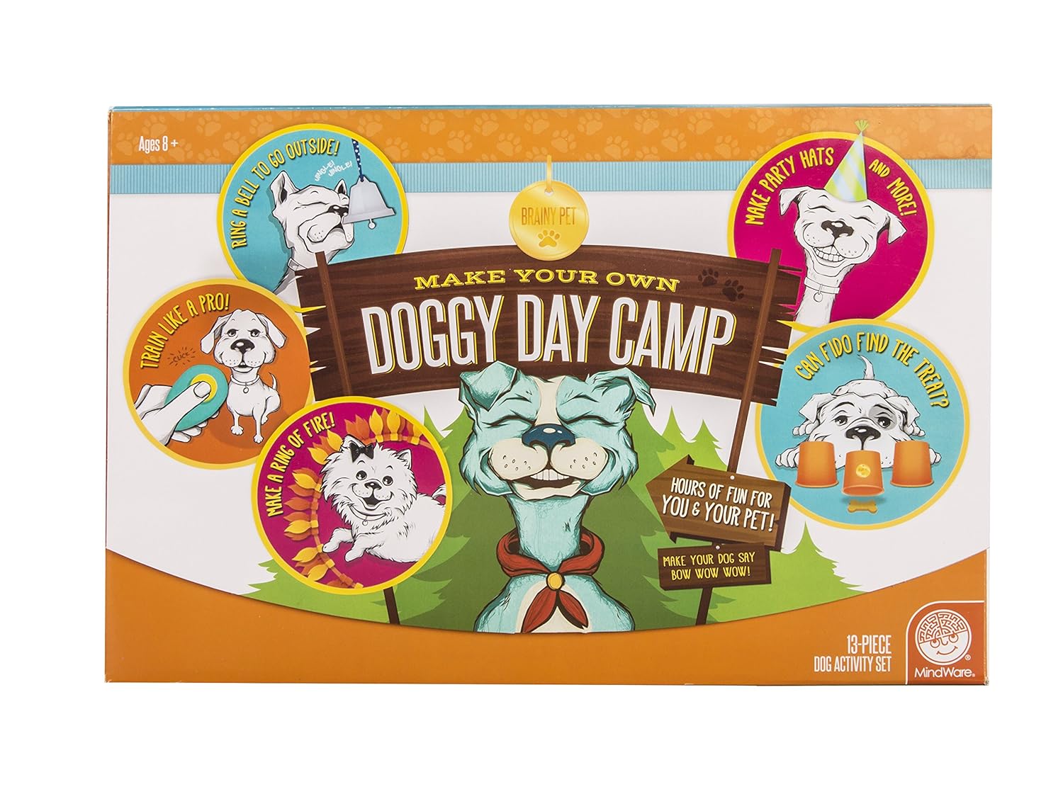 doggy day camp