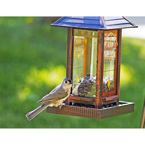 WAGNER’S 52023 BLACK OIL SUNFLOWER SEED WILD BIRD FOOD, 5-POUND BAG