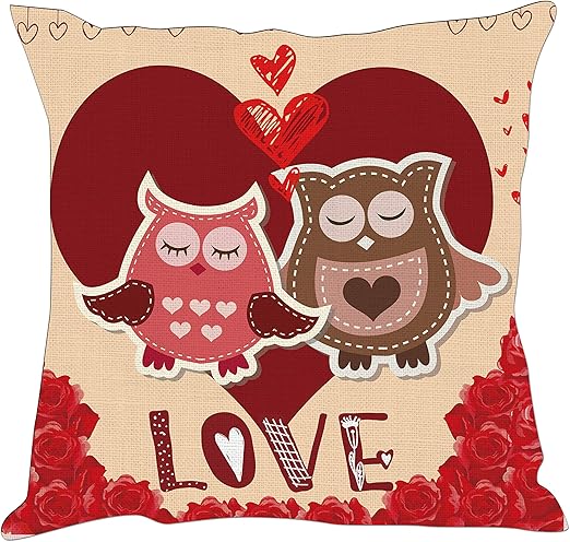 Amazon Com Hexagram Valentines Day Pillows Gifts For Him Her Owl
