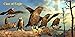 Clan of Eagle