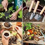 NEUSID Mini Garden Tools Set 6 Pieces Wood Handle Shovel Rake Trowel view 3