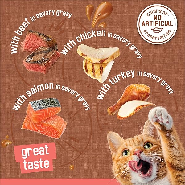 PURINA FRISKIES EXTRA GRAVY WET CAT FOOD CHUNKY 24CT VARIETY PACK (WITH CHICKEN, TURKEY, SALMON, BEEF) – (PACK OF 24) 5.5 OZ. CANS