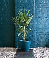 Ronseal Garden Paint Midnight Blue 750ml Waterproof Cracking view 2