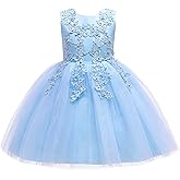 Weileenice Flower Girls Wedding Dress Tulle Little/Girl Lace Bridesmaid Holiday Pageant Party Tutu Dresses