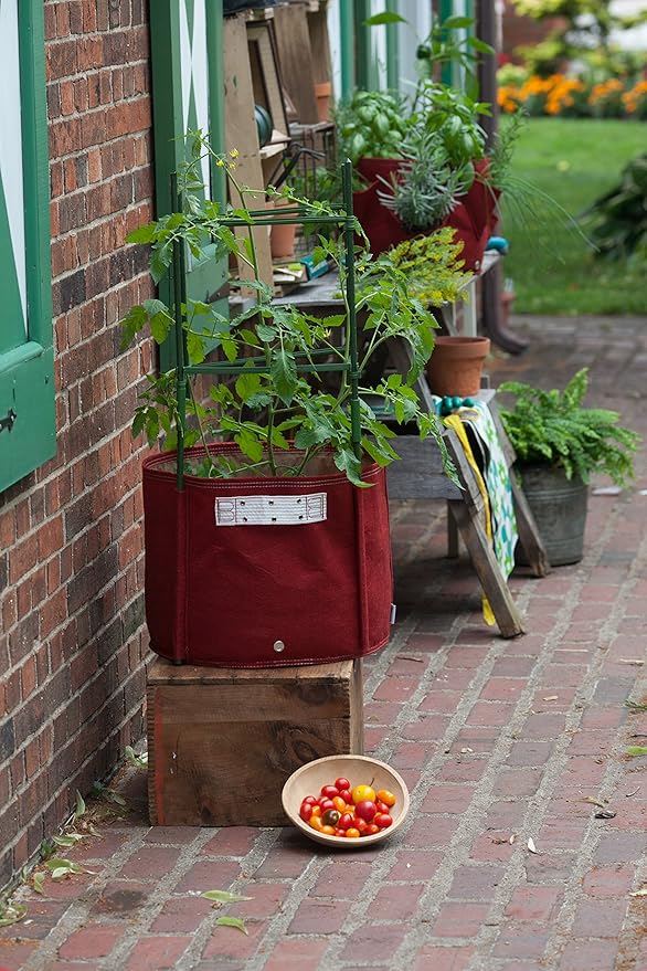 Bloem Tomate Tela Maceta Bolsa, 15 Gallon, Unión Rojo: Amazon.es ...
