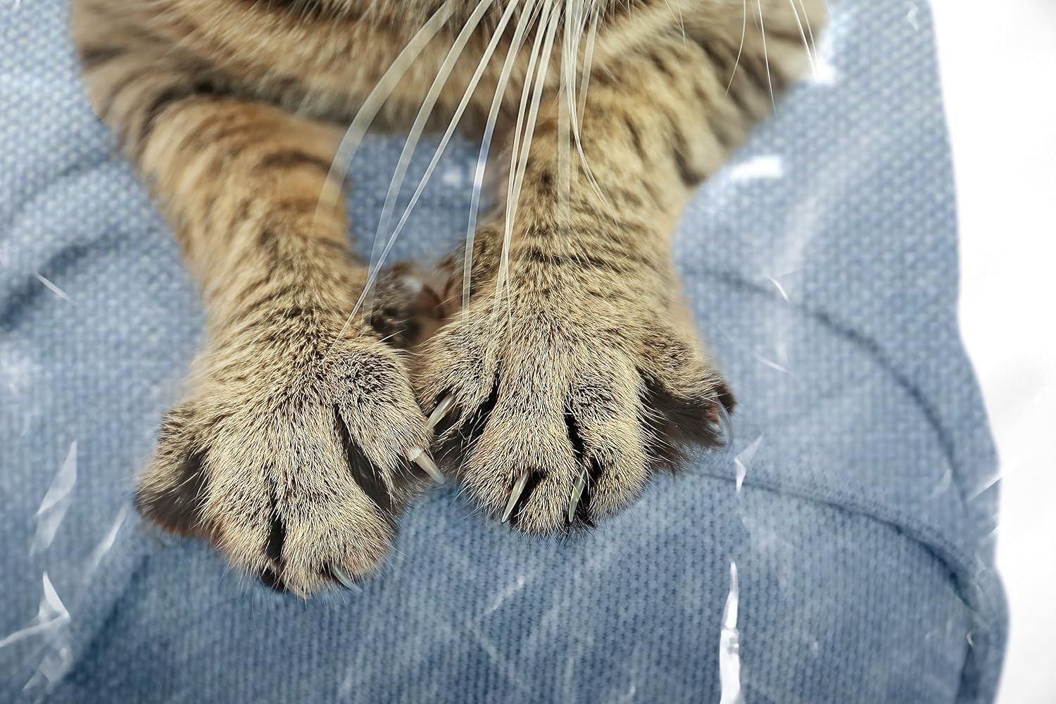 Plastic Couch Cover Pets | Cat Scratching Protector Clawing Deterrent | Heavy Duty Water Resistant Thick Clear Vinyl | Sofa Slipover Moving Long Term Storage: Home & Kitchen