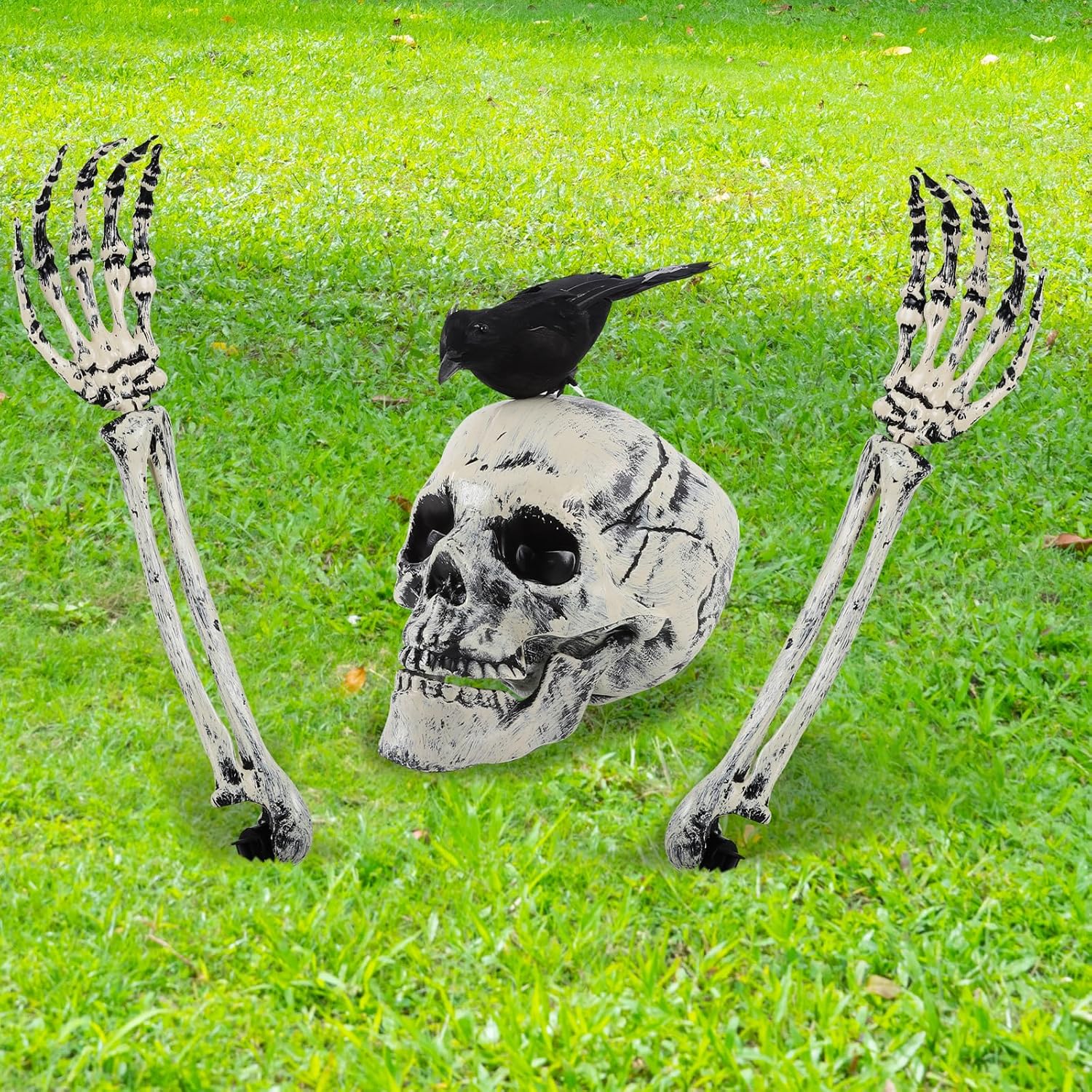 Decorative Garden Stakes - YQNLIFA Realistic Skeleton Stakes and Crow Halloween Decorations, Scary Skull Head Skull Arms Groundbreakers and Crow Halloween Decorations for Indoor Outdoor Garden Graveyard Lawn Yard Party
