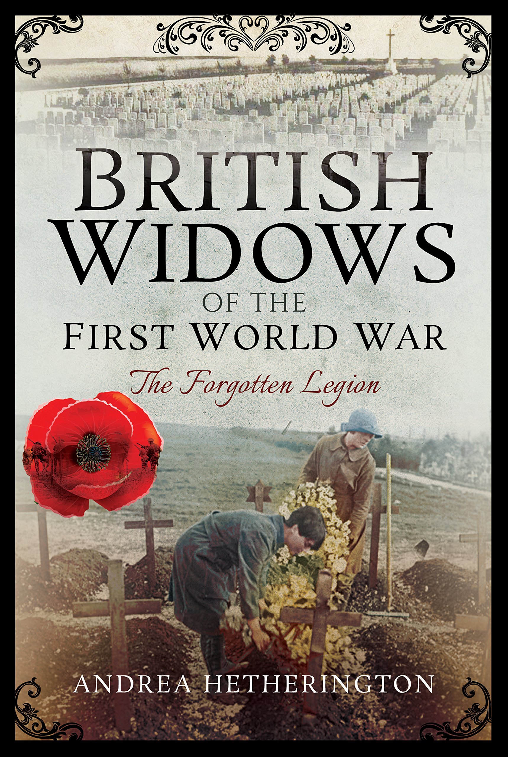 Amazoncom British Widows Of The First World War The - 