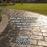 Pro-Kleen Powerful Black Spot Remover 10L Liquid Cleaning Solution view 5