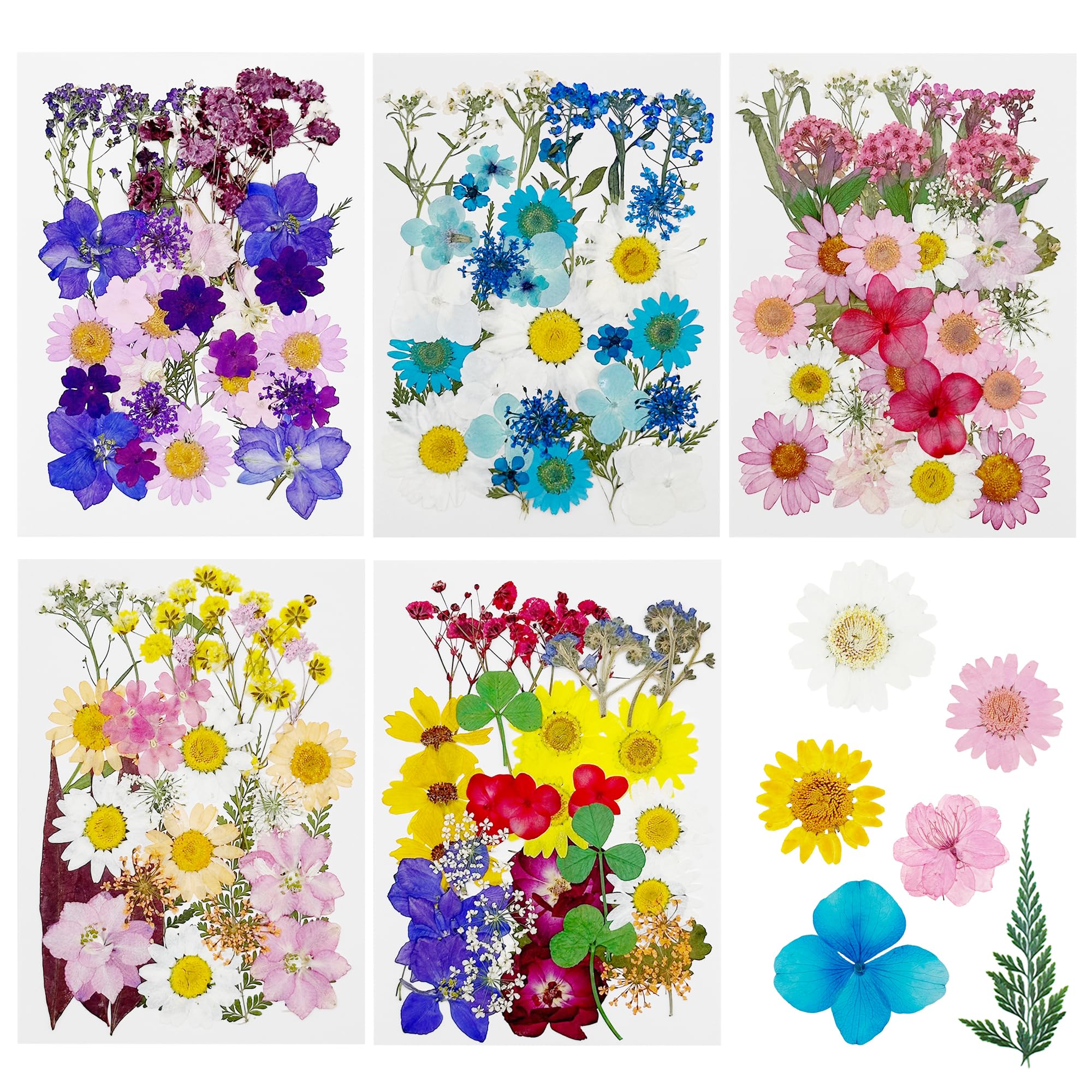 Cayway 170 PCS Dried Flowers for Resin, Real Nature Dried Pressed Flower Leaves for DIY Nail Art Cards Jewelry Making Epoxy Resin Molds Candle Accessories Floral Decors, Multicolor