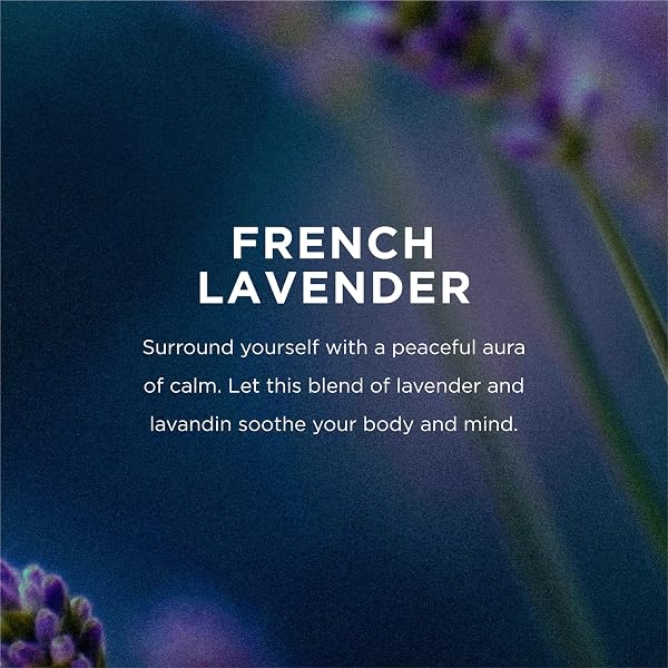 EO SHOWER GEL REFILL, 1 GALLON, FRENCH LAVENDER, BODY WASH MADE WITH ESSENTIAL OILS FOR MEN AND WOMEN