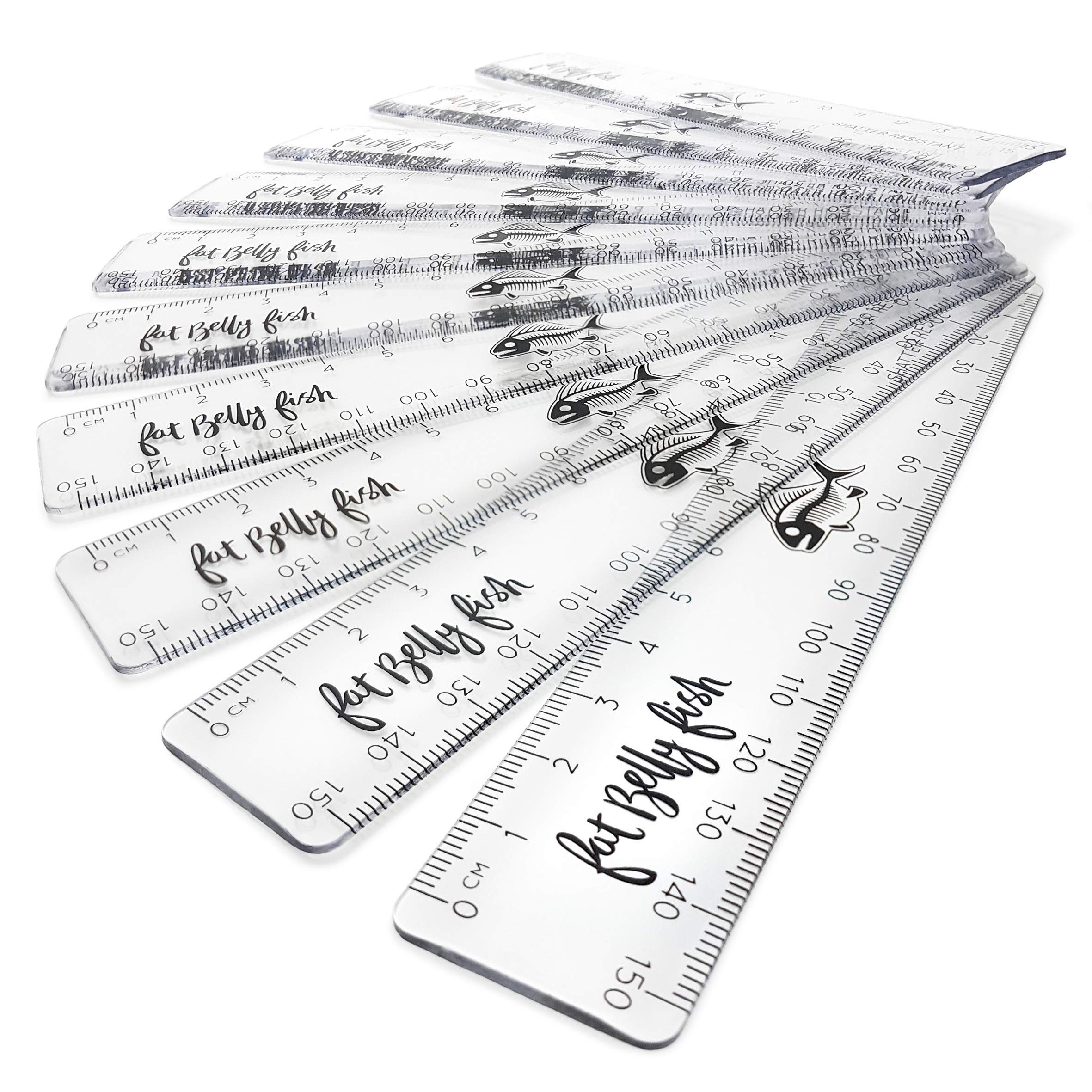 Transparent Metric Rulers 15cm - 150mm Shatterproof Plastic Clear Rulers (Pack of 12) by Fat Belly Fish