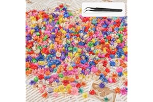 BZHYZKX 1000+Pcs Small Dried Flowers for Crafts with Tweezer - Colorful Real Natural Mini Dried Flowers for Resin, Tiny Dried Pressed Flowers for DIY Jewelry, Candle, Soap Making