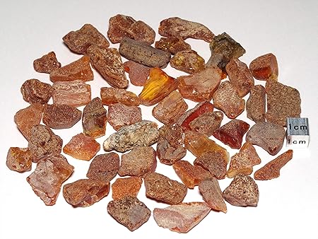 Amazon Co Jp N2 Stone Natural 天然樹脂の化石 琥珀 アンバー コハク Baltic Amber 原石 約50g 採取地 ポーランド バルト海 おもちゃ